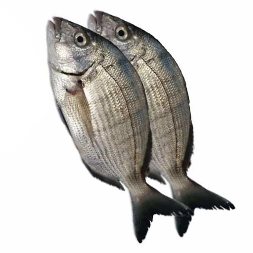 livraison Poisson Pataclet Sbares حوت صبارص Courses en ligne Gabes Tunisie supermarché en ligne Gabes vente en ligne poisson Gabes livraison à domicile Gabes