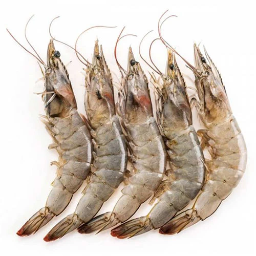 livraison Crevette Royale Grand Calibre كروفيت عيار كبير ملكي Courses en ligne Gabes supermarché en ligne Gabes Tunisie vente en ligne Gabes livraison à domicile