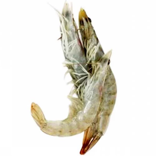 livraison Crevette Moyen Calibre كروفيت متوسط الحجم Courses en ligne Gabes Tunisie supermarché en ligne Gabes Tunisie vente en ligne Gabes Tunisie livraison à domici
